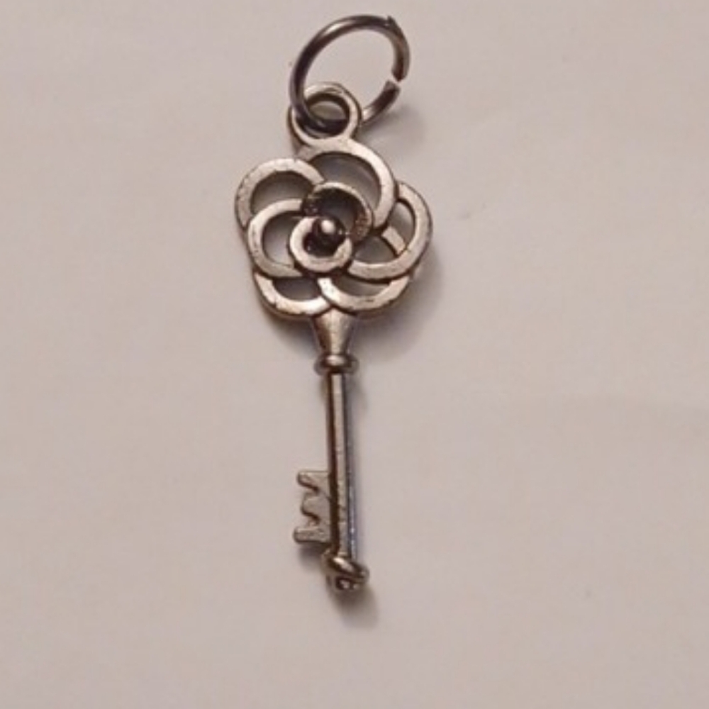 4/$30 New Gray Floral Key Charm or Pendant
